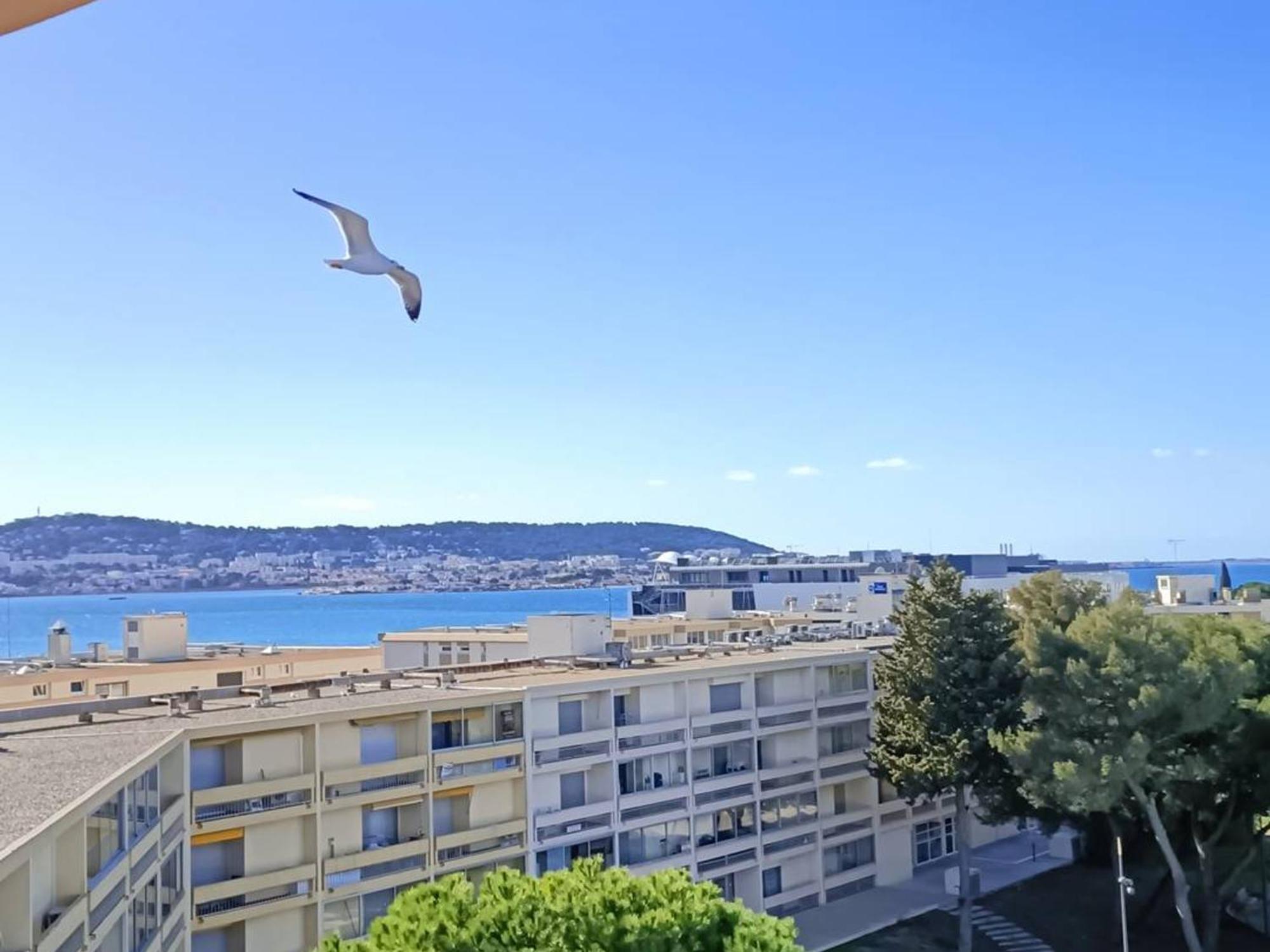 Apartment T1 Cosy 2 Etoiles Avec Animaux, Lave-linge Et Cuisine Equipee - Fr-1-571-24 Balaruc-les-Bains